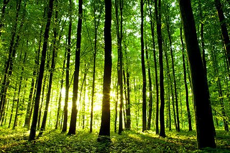 Schlumberger commits to science-based target in emissions reduction