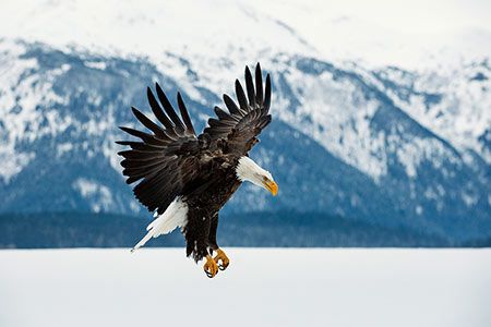 BP expects to complete sale of Alaska business to Hilcorp in mid-2020