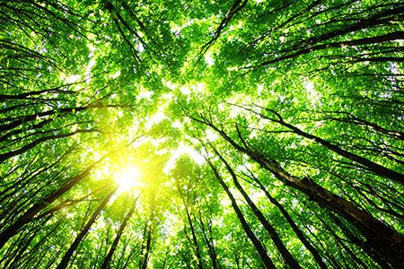 API publishes document to help enhance onshore production facilities’ environmental performance