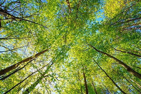 Sureclean announces launch of environmental response division