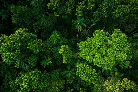 First oil carbon intensity certification