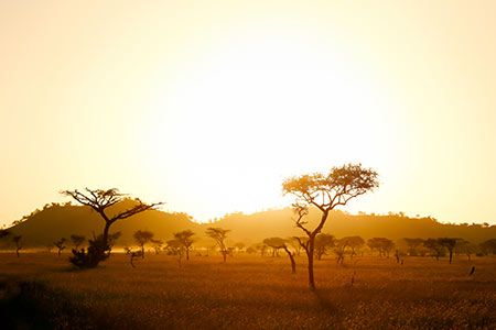 Africa needs US$375 billion to develop natural gas sector, says Society of Petroleum Engineers (SPE)